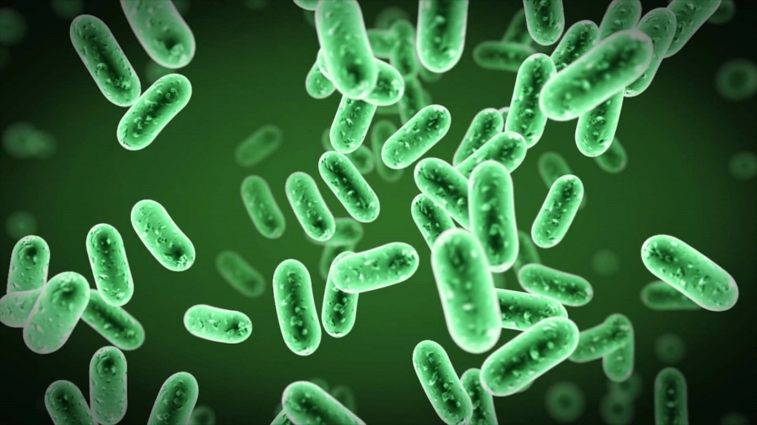 Brazilian Scientist Developed a Single Kit to Detect Infection-causing Pathogens