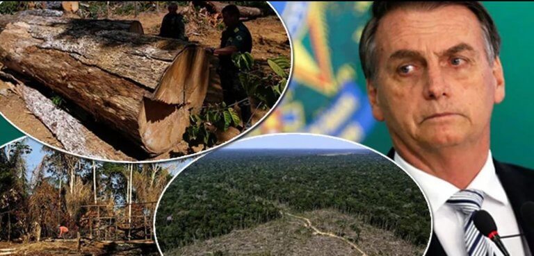 German Media Advocate Sanctions for Bolsonaro’s Encouragement of Deforestation