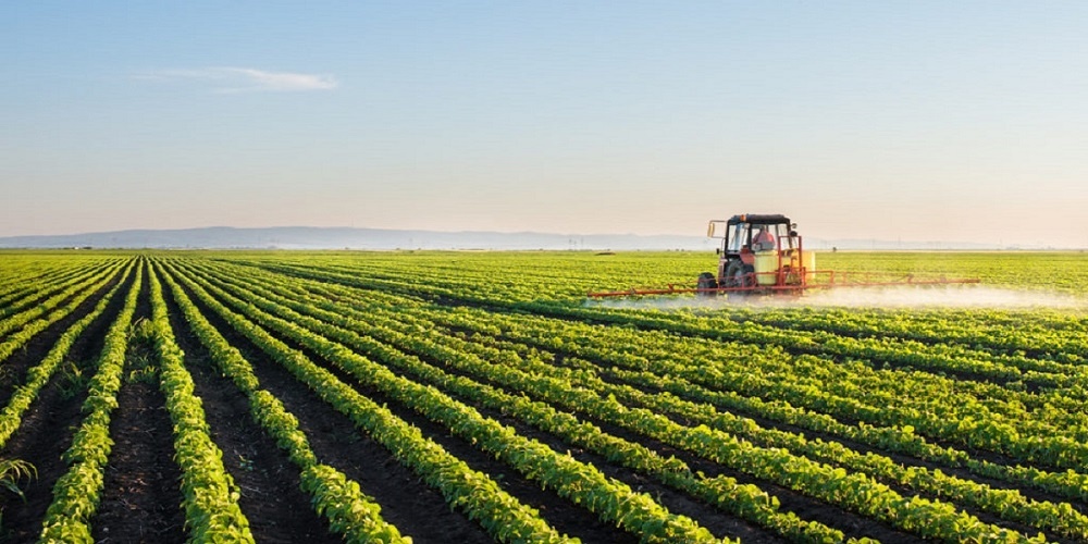 Brazil Expects Near-Record Agricultural Production of R$603.4 billion in 2019