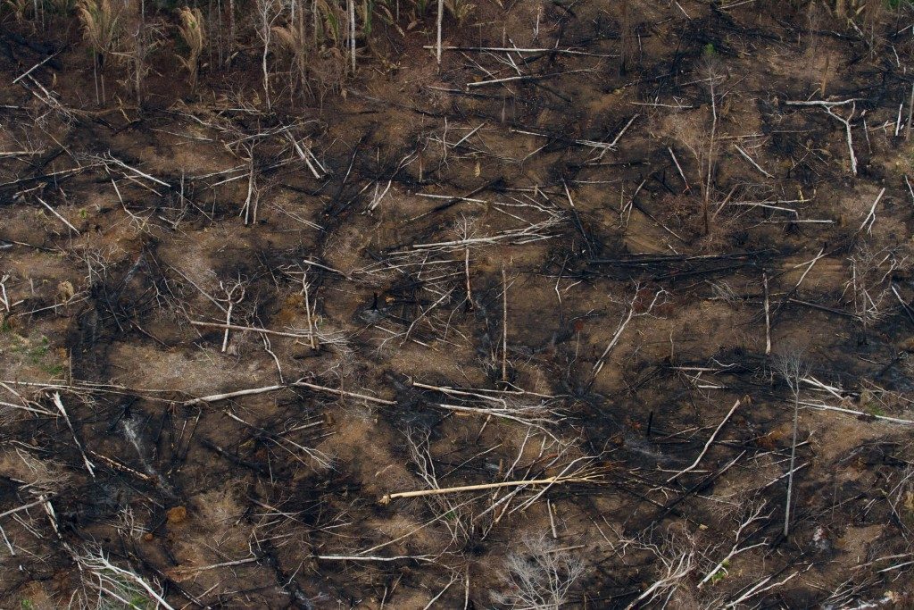 From 2008 until this year, Berlin has paid 95 million euros in support of various environmental protection programs in Brazil.