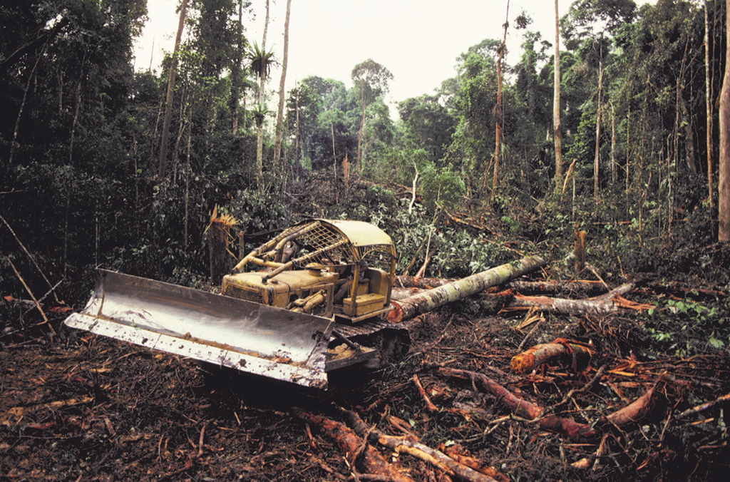 The cost of deforestation is high. According to him, it's at least R$800 per hectare, but it can reach R$2,000. "It depends on the conditions. If you have many chainsaws, for instance, or you use a chain tractor. A tracked tractor, to open the roads, costs hundreds of thousands of Reais.