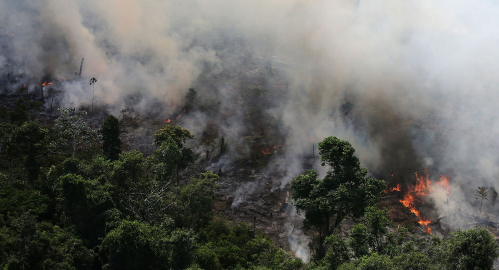 Bolsonaro also said that governors are "colluding" with the fires in the Amazon.