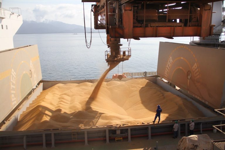 Brazil,Thousands of tons of soybean grains are exported every year abroad.