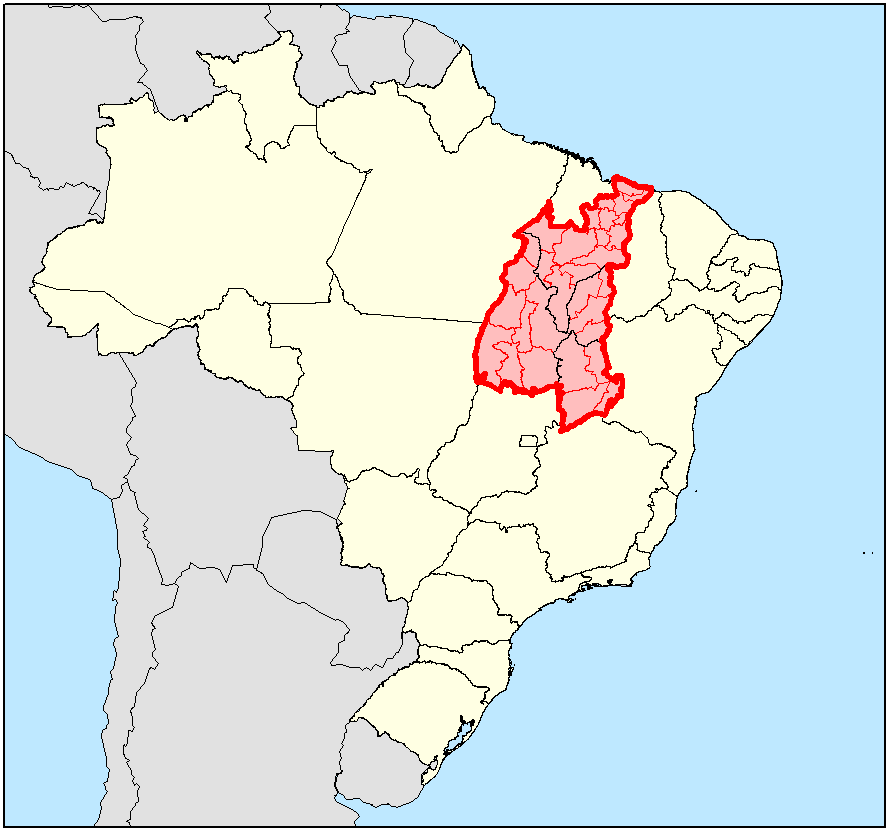 It is estimated that in the past ten years approximately 50,000 square kilometers of Cerrados have been deforested. The greatest symbol of this process is the construction of "Matopiba", currently the largest agricultural region in the world