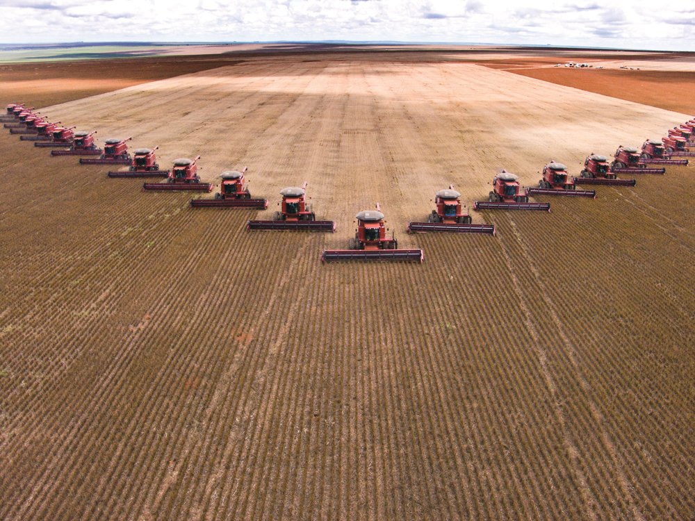 Soy is the third most exported product in the northern region, after iron and copper. In the region with the largest soybean plantations, the state of Mato Grosso, 43 percent of all exports come from this commodity