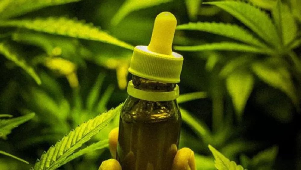During the clinical study, the patients will be administered doses of integral cannabis oil, with a concentration of 100mg/ml of cannabidiol (CBD) and low THC rates.