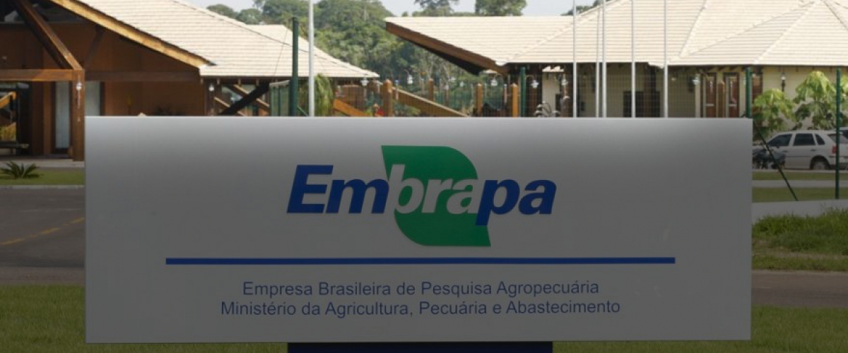 Embrapa