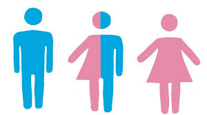GEnder iDENTITY