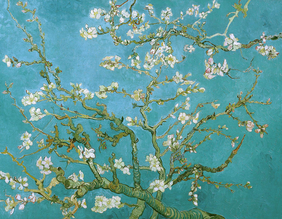 Almond Tree Square by Vincent van Gogh. (Photo internet reproduction)