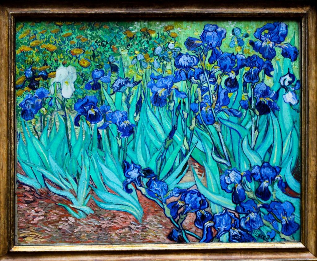 Irises Flower Labyrinth by Vincent van Gogh. (Photo internet reproduction)