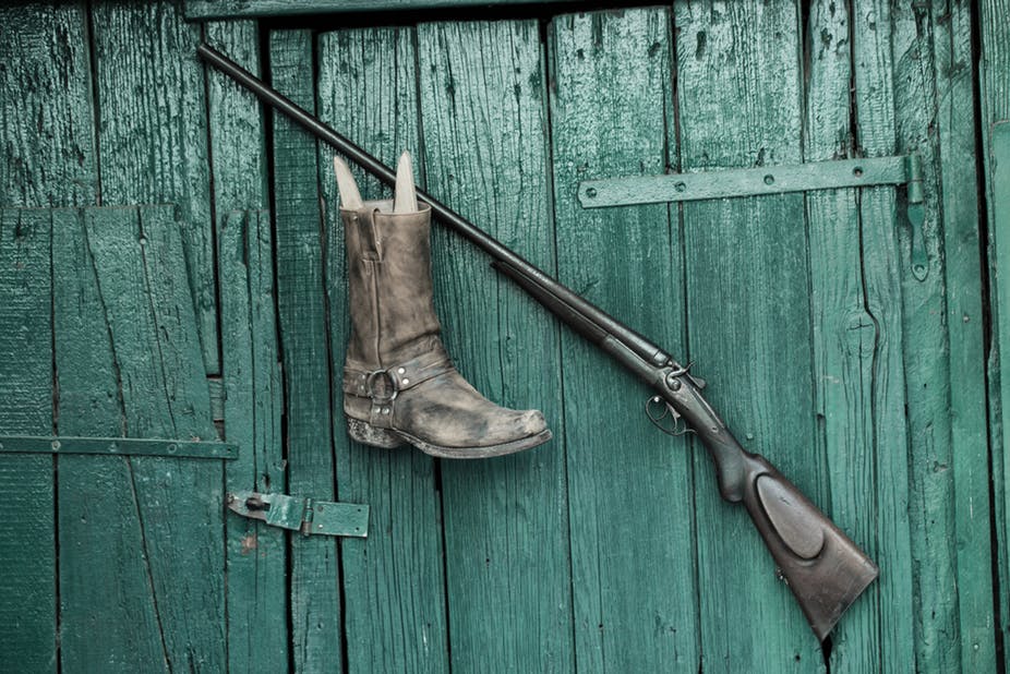 Gun