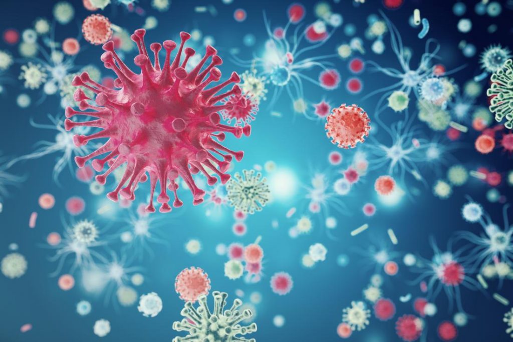As beautiful as the virus looks in close-up, it's deadly.