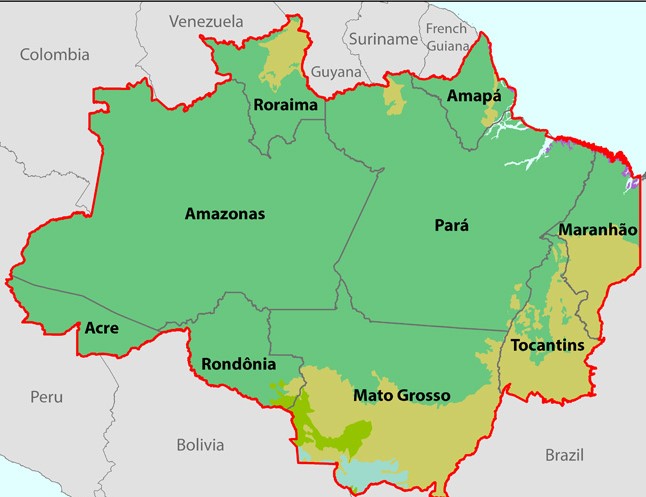 R$s 1 billion will be used to preserve Legal Amazon. (Photo internet reproduction)
