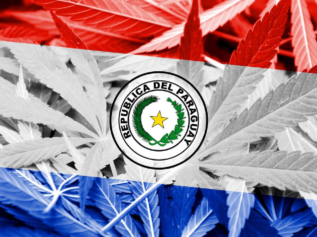 Senator Victor Rios, the proponent of this bill, told ABC Color that in no circumstance was there any discussion on legalizing and commercializing the plant for recreational use.