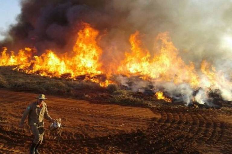 Fires in Bombeiros, Pantanal. (Photo internet reproduction)
