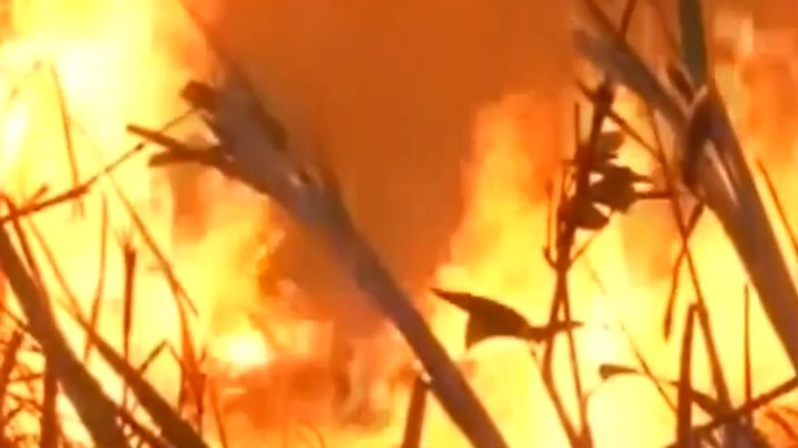 The Chilean government granted the use of a tanker to help Paraguayan authorities try to put out the fires.
