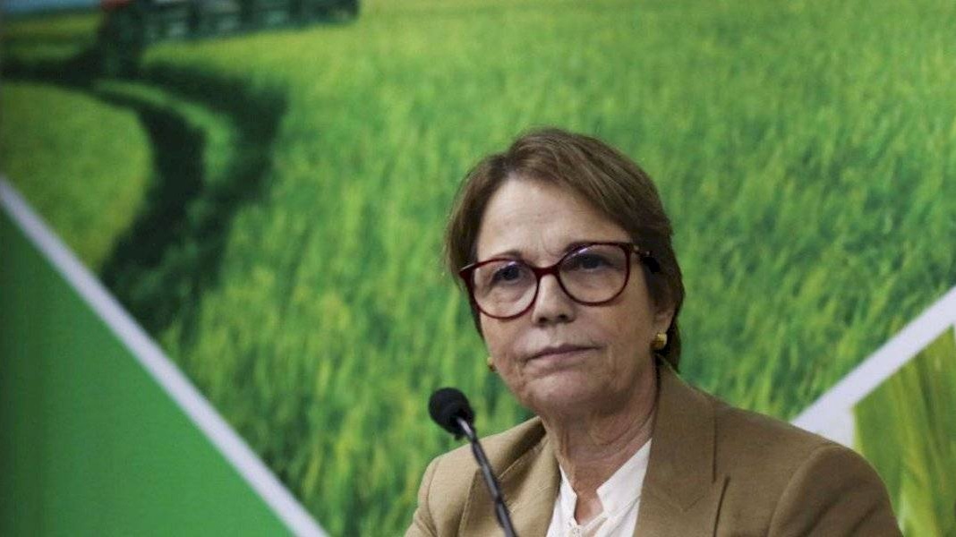 Brazilian Agriculture Minister Tereza Cristina.