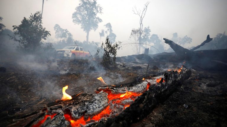 Brazil,Amazon forest burning