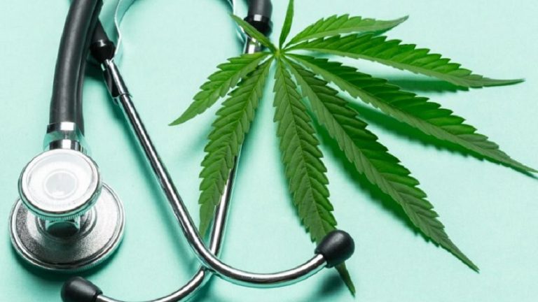 “Brazilian California”, Paraíba Plants Marijuana for 2,500 Patients