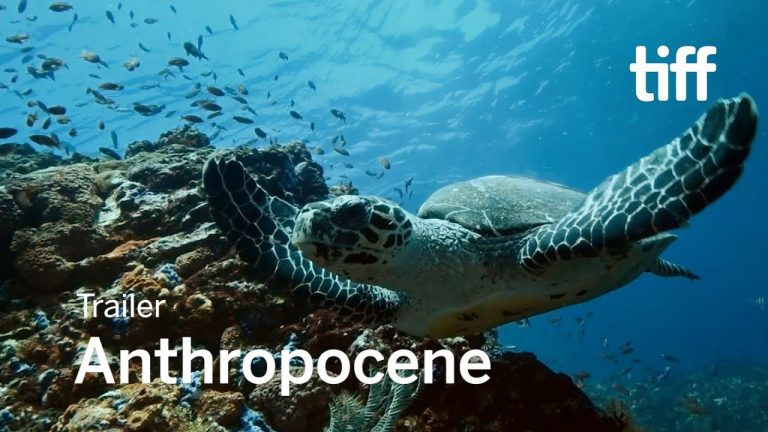 Film:  “Anthropocene – The Human Epoch” is Epic Cinematic Meditation on Human Impact on Earth’s Evolution