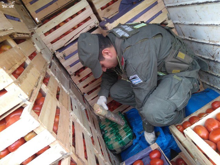 The cocaine had been placed in the center of the load and was entirely surrounded by crates of rotten tomatoes.