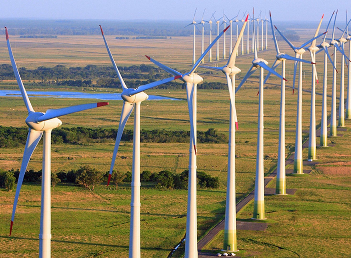 Brazil, Petrobras officials have announced they will be reducing investment in renewable energy sources, such as wind farms in the next few years.