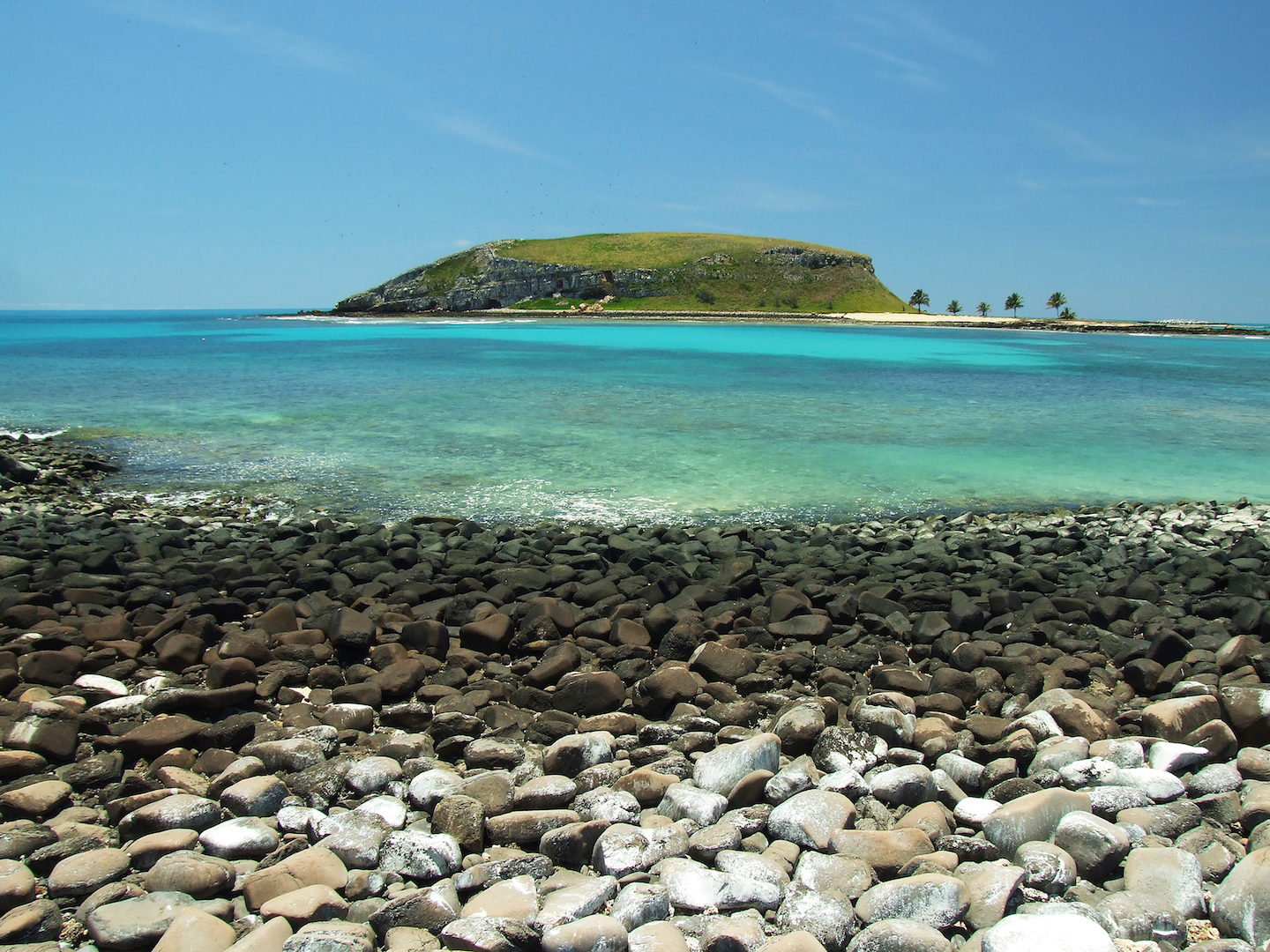 Brazil,The Abrolhos Islands are said to be home to thousands of species of marine life, including some on the threatened with extinction list.