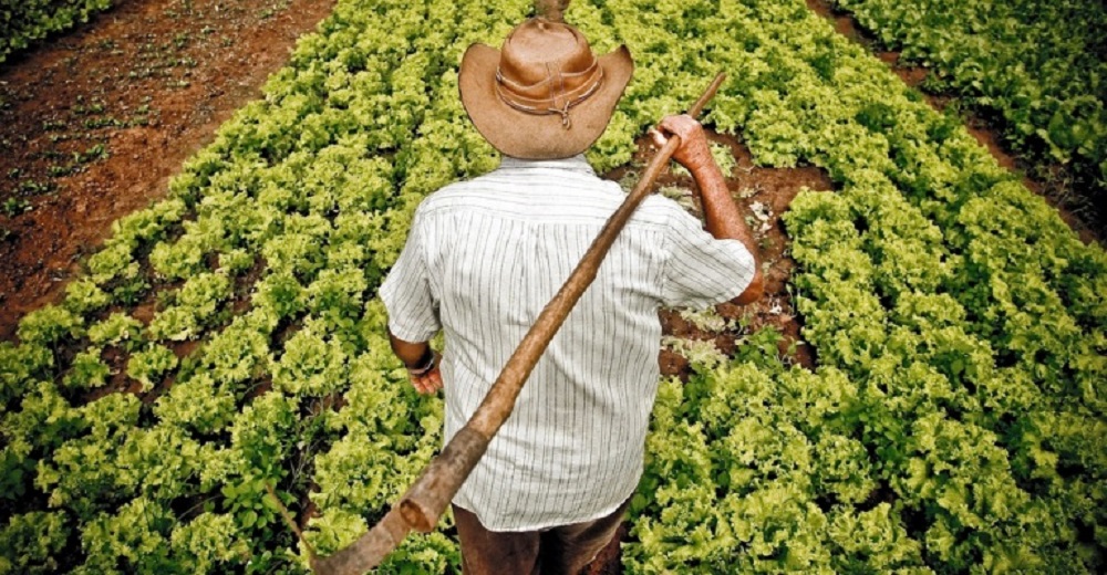 Average Brazilian Monthly Household Spending 45.3 Percent Lower in Rural Areas Than in Urban