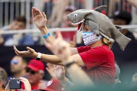 “Baby Shark, doo-doo, doo-doo-doo-doo!” (Photo internet reproduction)