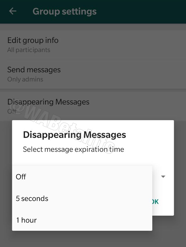 The user can mark the chat as “disappeared” enabling the option “Disappearing messages”, in Group Info (when the feature will be available for everyone):