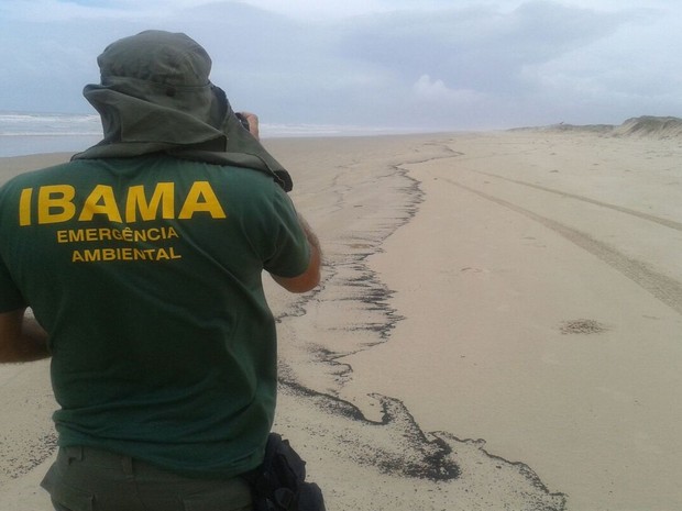 IBAMA carries out the impact assessment and directs the response actions, while Petrobras is in charge of hiring labor and organizing the work fronts.