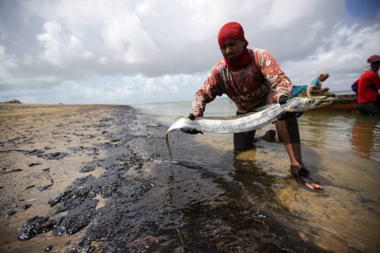 Brazil’s Northeastern Environmental Nightmare Threatens Fishers and Tourism