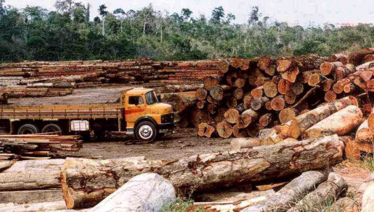 New Mato Grosso Law Permits Four-fold Increase in Logging without Tree Replacement