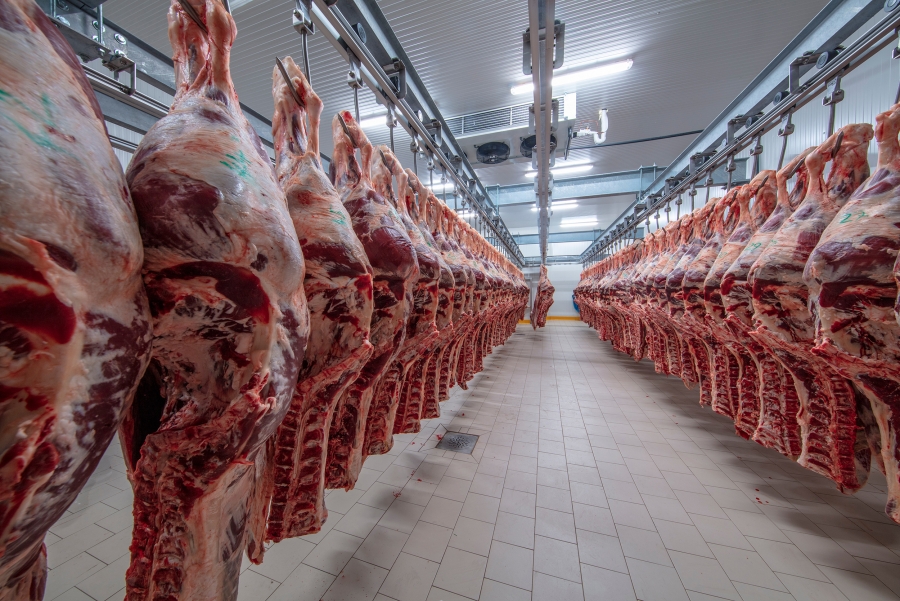 Due to the large Chinese demand, prices in Brazil are rising massively.