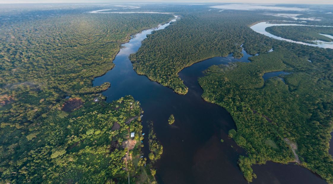 The Amazon Rainforest in South America.