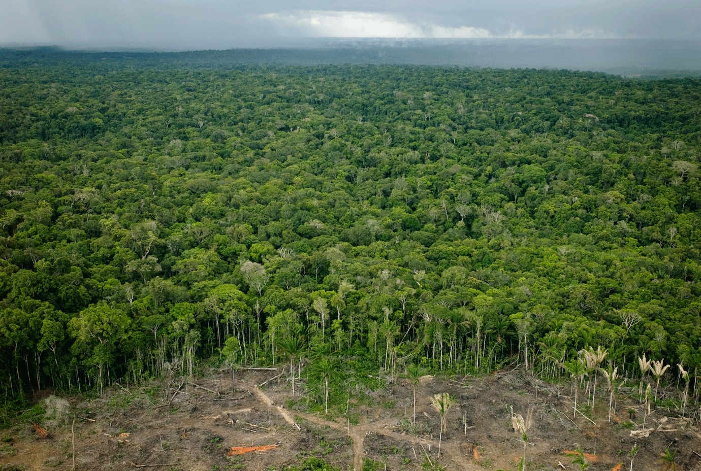 The increase in deforestation and fires in the Amazon, combined with the high concentration of greenhouse gases, is turning the atmosphere over the rainforest drier.