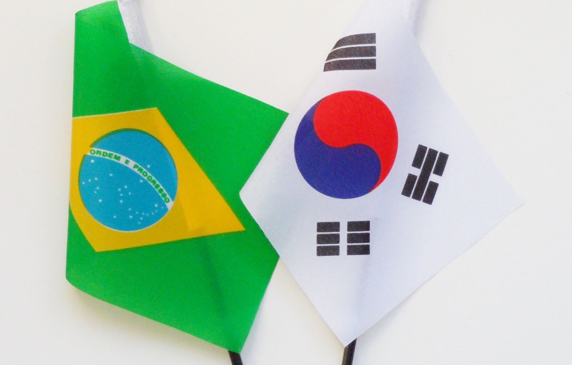 brazil south korea