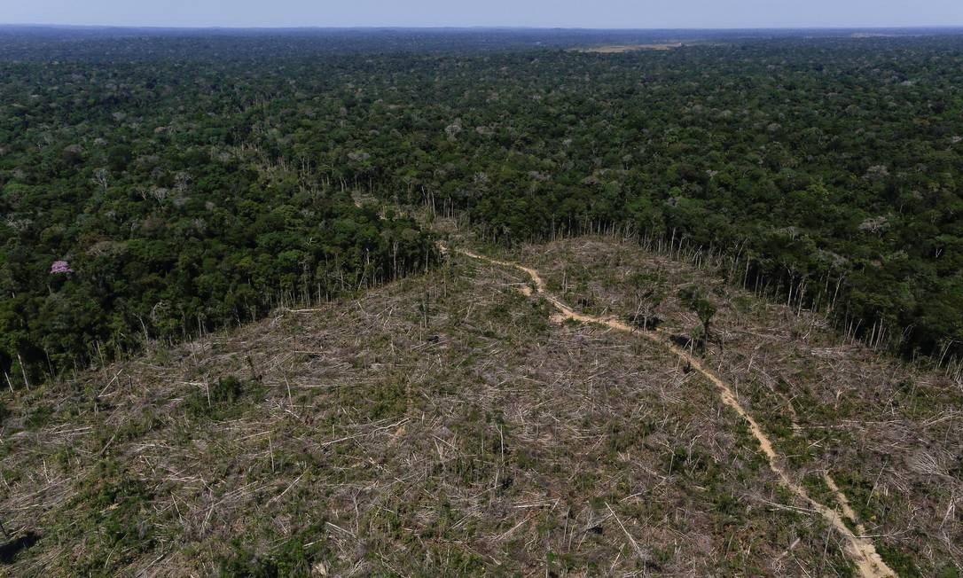 The figure confirms what the real-time alert reports had been pointing out for months: that deforestation has intensified since the ultra-right-wing Jair Bolsonaro took office.