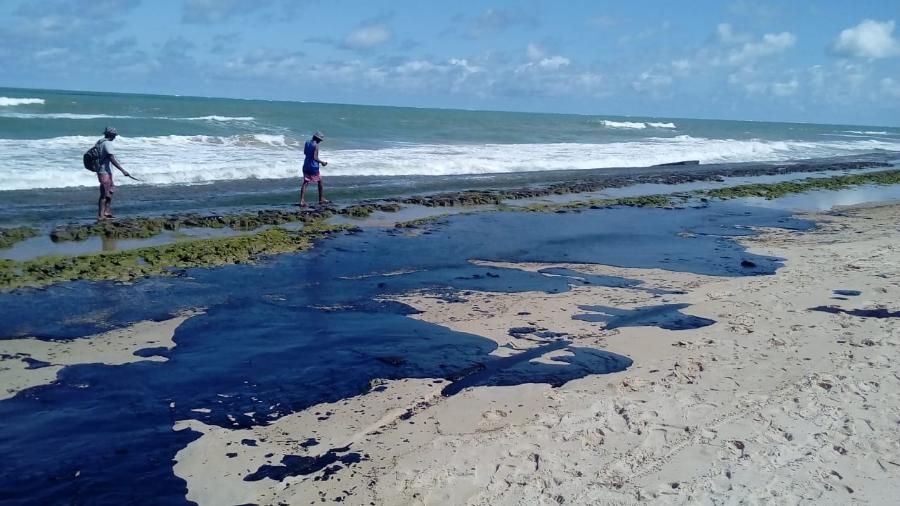 The Navy will carry out humanitarian actions related to the environment, cooperation in the rehabilitation of affected maritime areas and monitoring of Brazilian jurisdictional waters, together with the Army and the Brazilian Air Force.