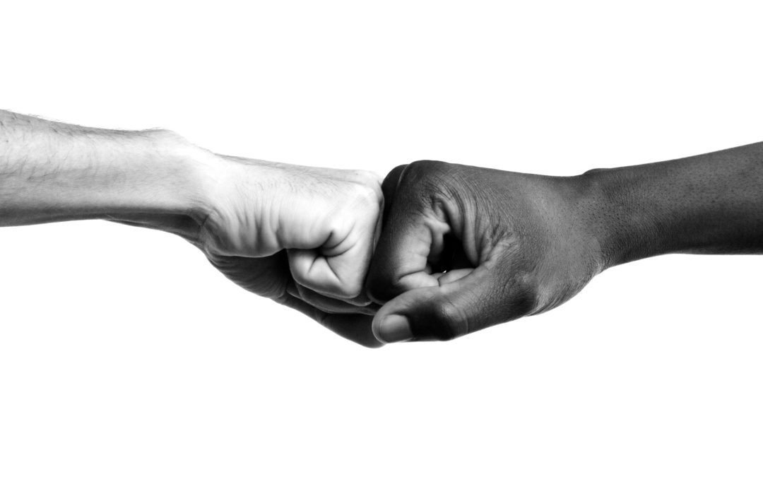 Among the places where there is perceived different treatment between whites and blacks, shopping malls and other commercial establishments stand out