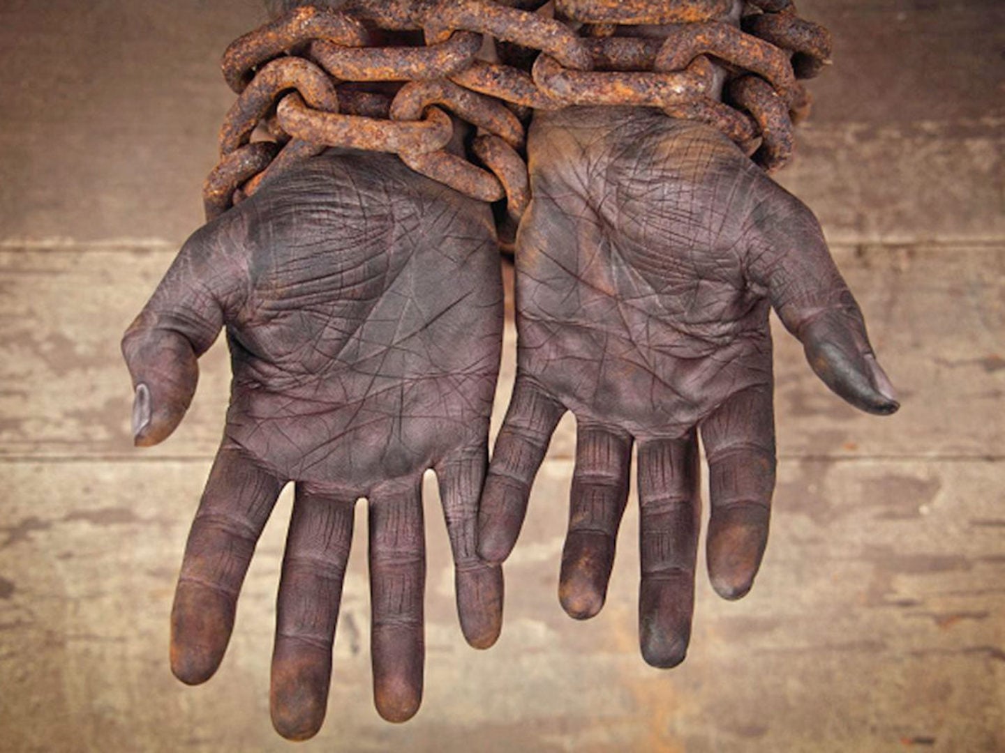 Brazil,Camargo who will now head the Fundação Palmares claims slavery was beneficial for Africans,