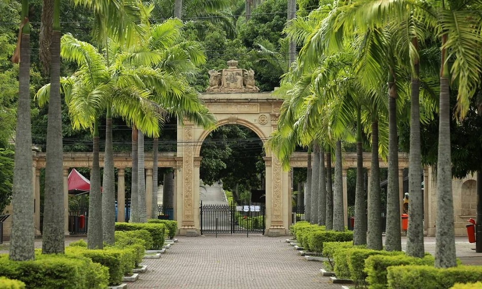 Rio Zoo Closes Down Today, Should Reopen for Public Visits in 2020