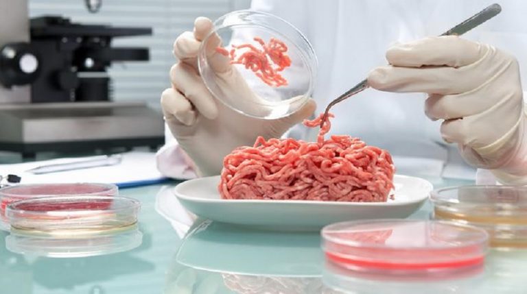 Laboratory Meat and Insects Will Dispute Plant Protein