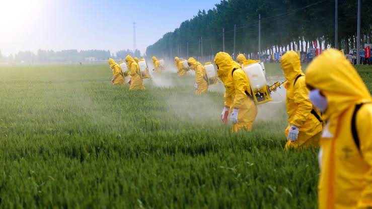 Brazil, like other countries, must rethink its pesticide policy. We humans will not survive long without bees.