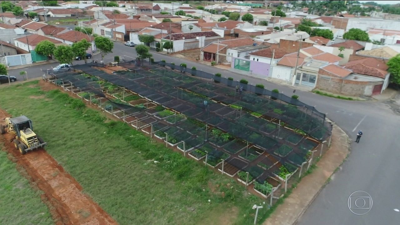 The residents embraced the idea and in these 40 years and began to look after these areas with great affection.