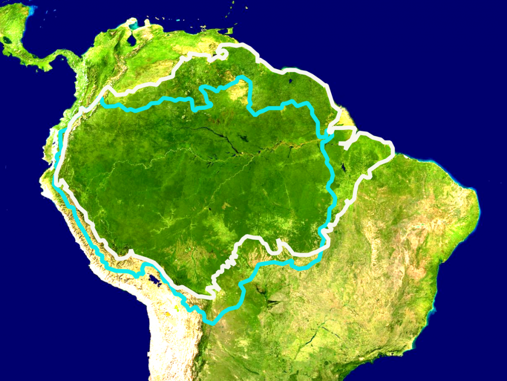 We are very close to reaching the point of no return in the savanization of large portions of the Amazon jungle," says Nobre, who wrote an editorial on this risk in Science Advances last month.