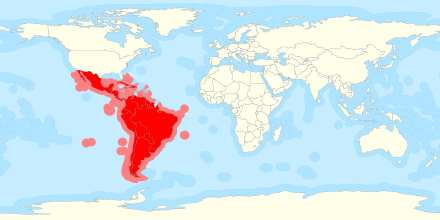 Brazil's government has declared its withdrawal from the Community of Latin American and Caribbean States (Celac). The regional alliance is no longer able to act appropriately in the context of the regional crisis, Braília said.