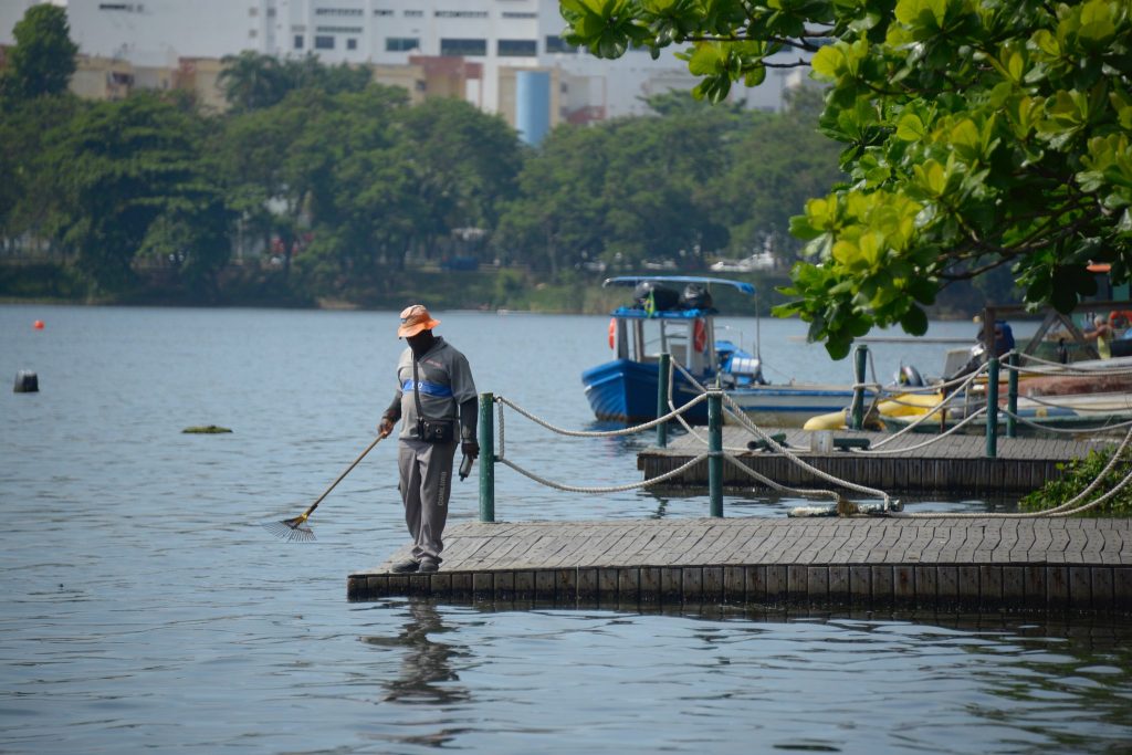 The revitalization works of Lagoa Rodrigo de Freitas will start this week. The announcement was made by the Municipal Secretary of the Environment, Bernardo Egas, on Friday, January 10.