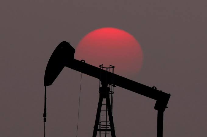 Oil