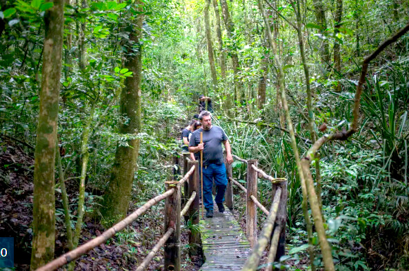PNM Bororé is the result of the environmental compensation resources related to the licensing of the southern stretch of the Rodoanel Mário Covas. Photo: SMVMA.
